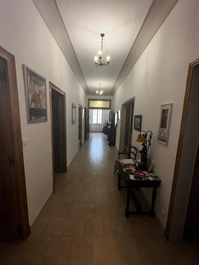 Appartement 4 A 8 Personnes, Spacieux De Standing Classe 4 Etoiles نيم المظهر الخارجي الصورة